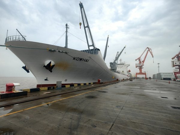 新西兰奇异果季开启，今年首艘直航包船抵达上海港