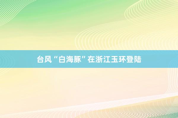 台风“白海豚”在浙江玉环登陆