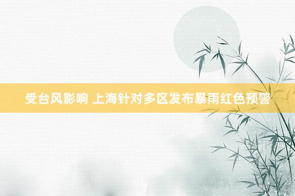 受台风影响 上海针对多区发布暴雨红色预警
