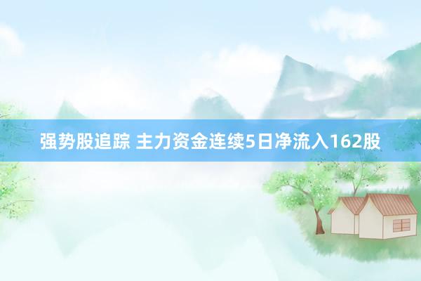 强势股追踪 主力资金连续5日净流入162股
