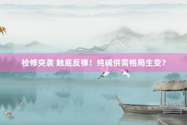 检修突袭 触底反弹!纯碱供需格局生变?