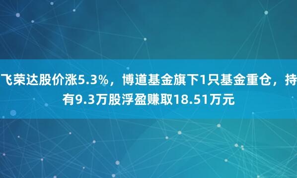 飞荣达股价涨5.3%，博道基金旗下1只基金重仓，持有9.3万股浮盈赚取18.51万元