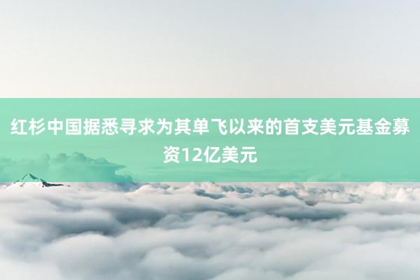红杉中国据悉寻求为其单飞以来的首支美元基金募资12亿美元