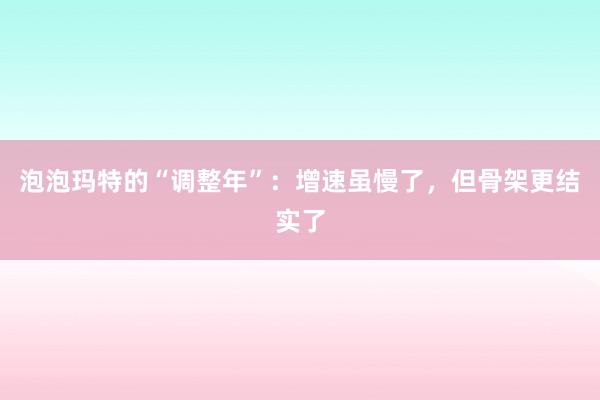 泡泡玛特的“调整年”：增速虽慢了，但骨架更结实了