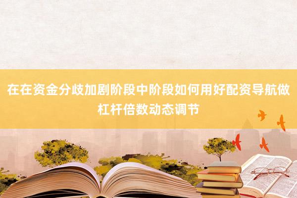 在在资金分歧加剧阶段中阶段如何用好配资导航做杠杆倍数动态调节