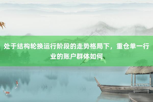 处于结构轮换运行阶段的走势格局下，重仓单一行业的账户群体如何
