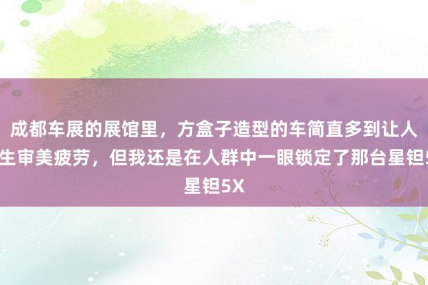 成都车展的展馆里，方盒子造型的车简直多到让人产生审美疲劳，但我还是在人群中一眼锁定了那台星钽5X