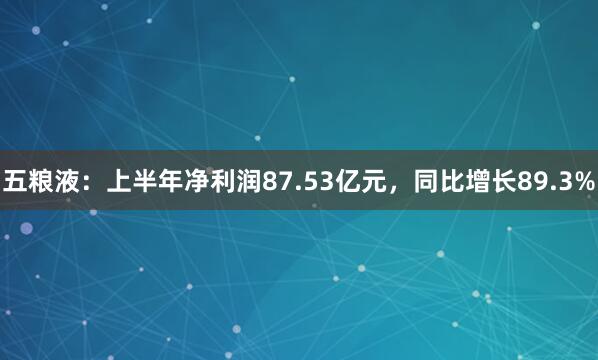 五粮液：上半年净利润87.53亿元，同比增长89.3%