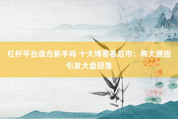 杠杆平台适合新手吗 十大博客看后市：两大原因引发大盘回落