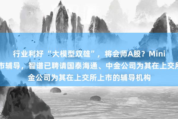 行业利好 “大模型双雄”，将会师A股？MiniMax正式启动上市辅导，智谱已聘请国泰海通、中金公司为其在上交所上市的辅导机构