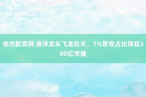 地方配资网 液冷龙头飞龙在天，1%营收占比撑起300亿市值